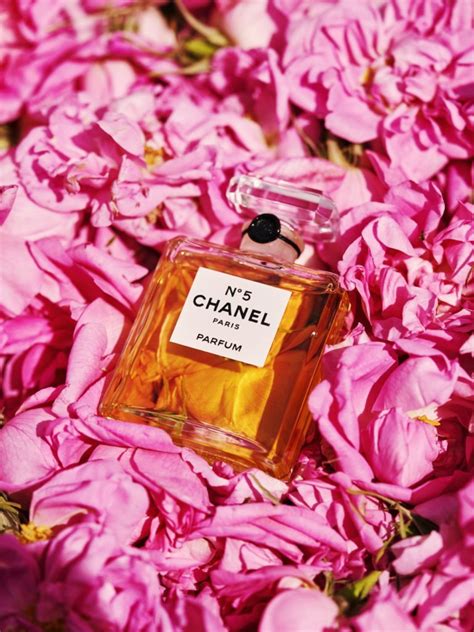 rose de mai chanel|chanel no 5 may rose.